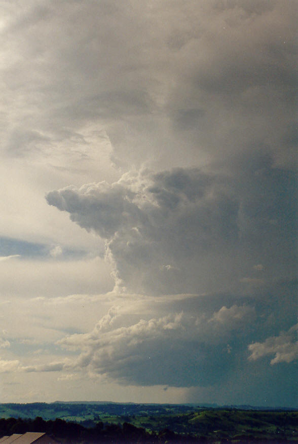 updraft thunderstorm_updrafts : McLeans Ridges, NSW   30 January 2004