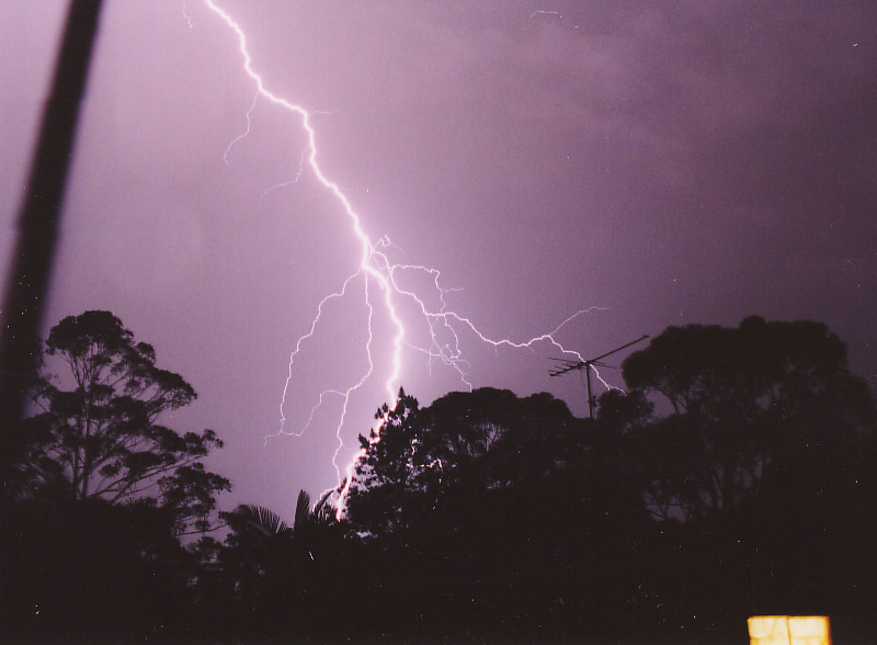 contributions received : Beerwah, QLD<BR>Photo by Tom Reissmann   1 March 2004