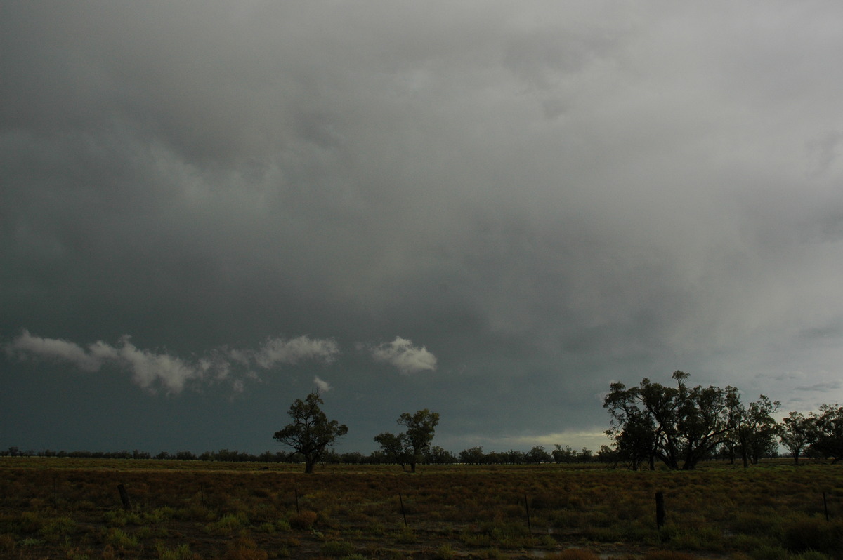 anvil thunderstorm_anvils : Quambone, NSW   7 December 2004
