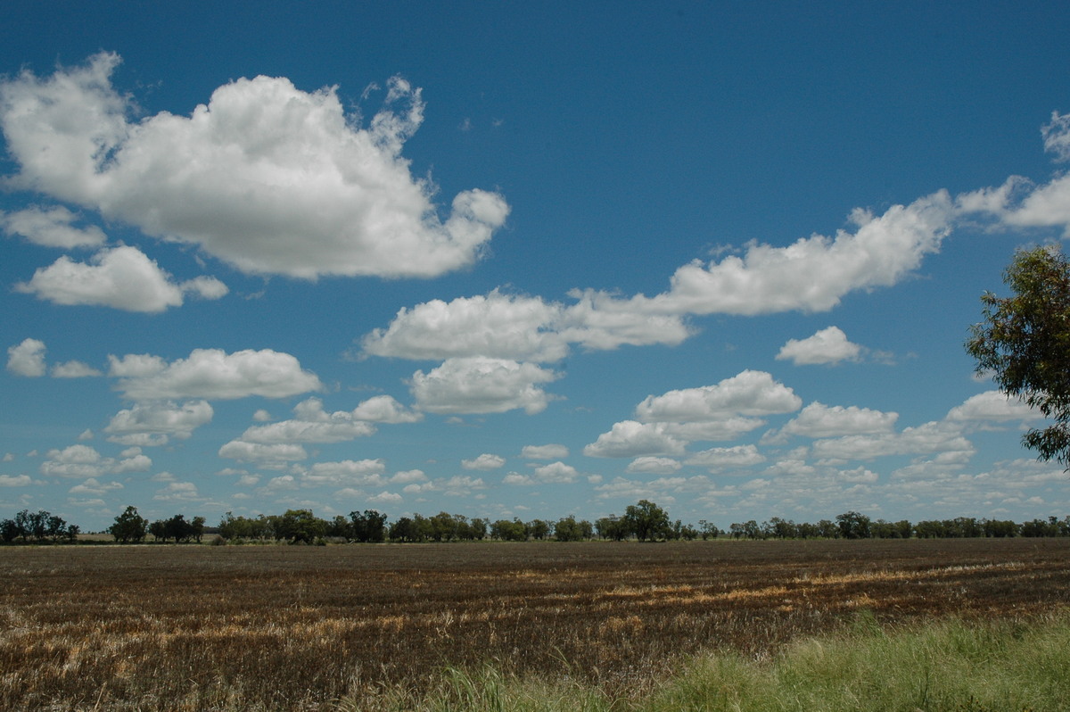 cumulus humilis : Moree, NSW   26 December 2004