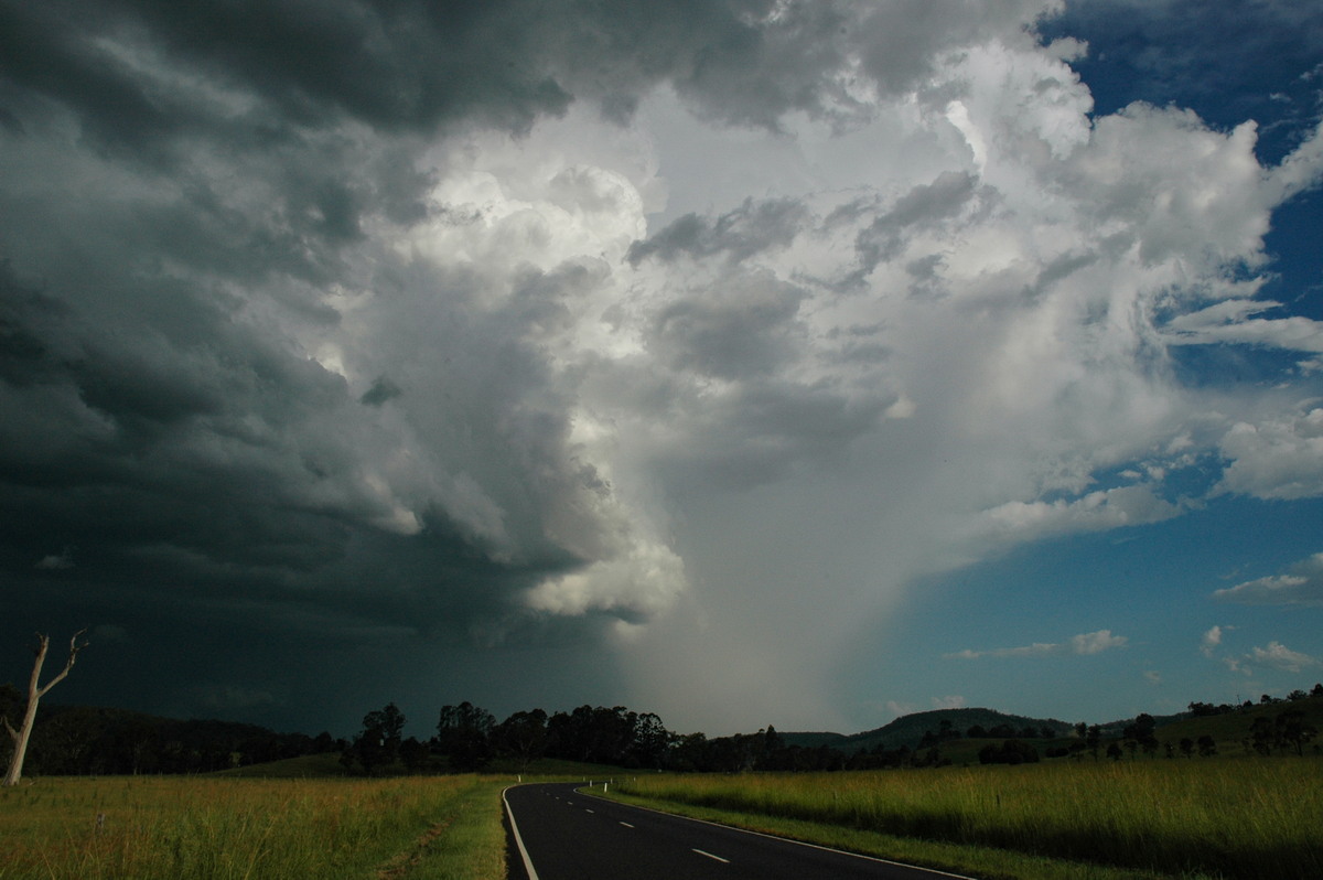 thunderstorm cumulonimbus_incus : NW of Lismore, NSW   21 January 2005