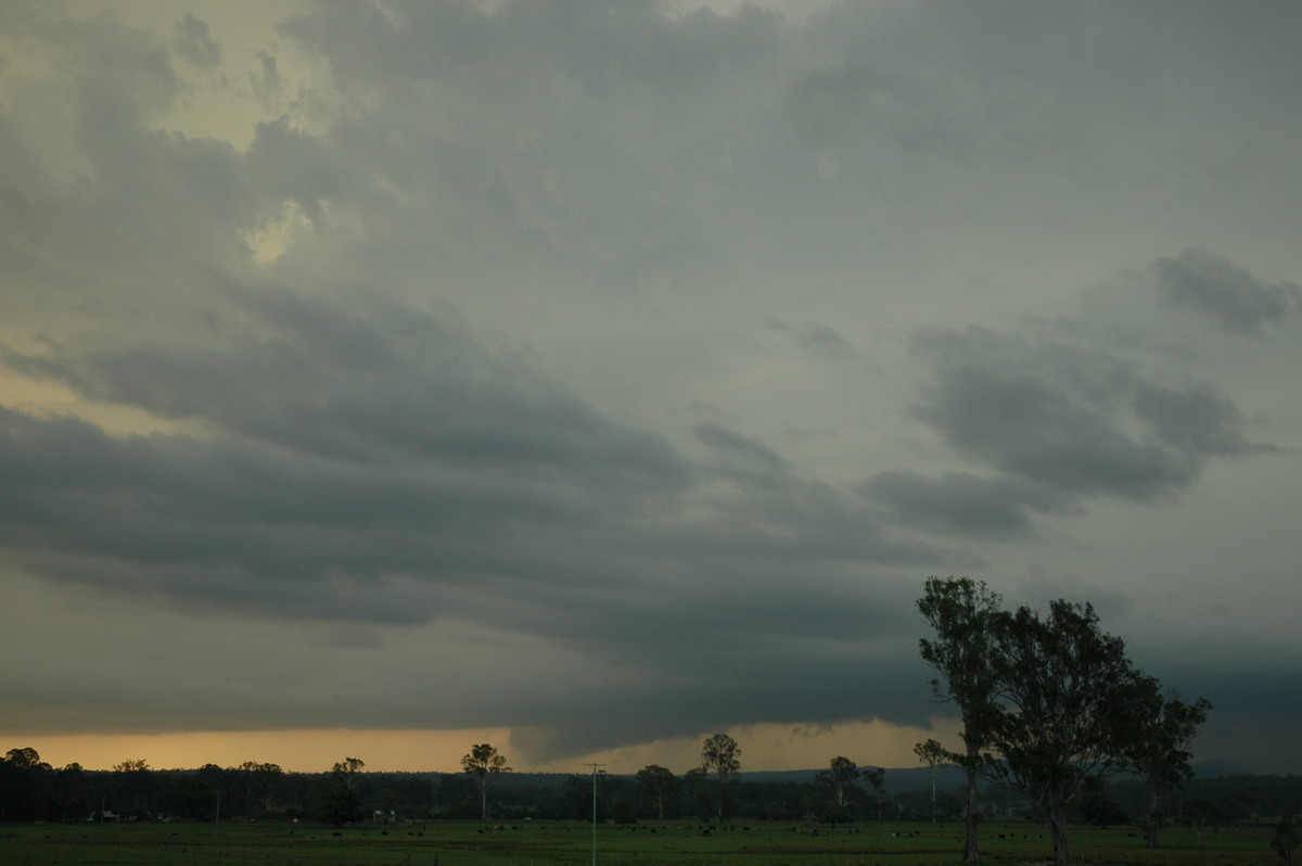 cumulonimbus thunderstorm_base : Whiporie, NSW   2 February 2005