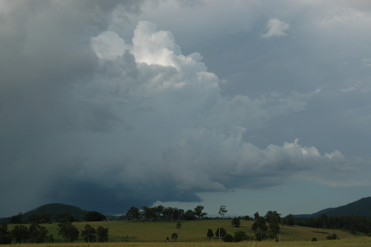 updraft thunderstorm_updrafts : near Kyogle, NSW   22 February 2005