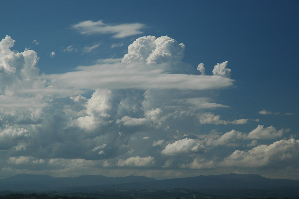 thunderstorm cumulonimbus_calvus : McLeans Ridges, NSW   28 October 2005