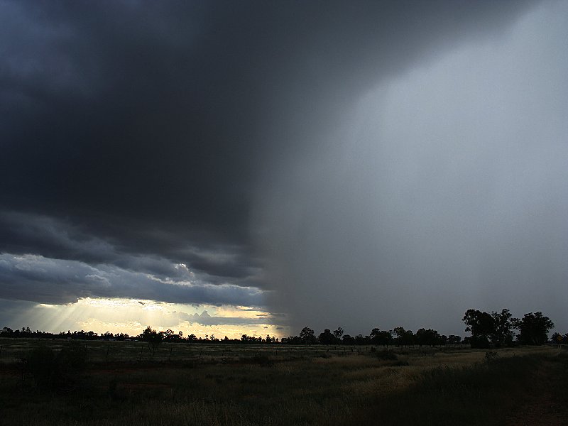 cumulonimbus thunderstorm_base : Nyngan, NSW   7 November 2005