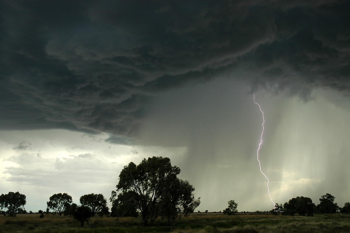 lightning lightning_bolts : Collarenabri, NSW   26 November 2005