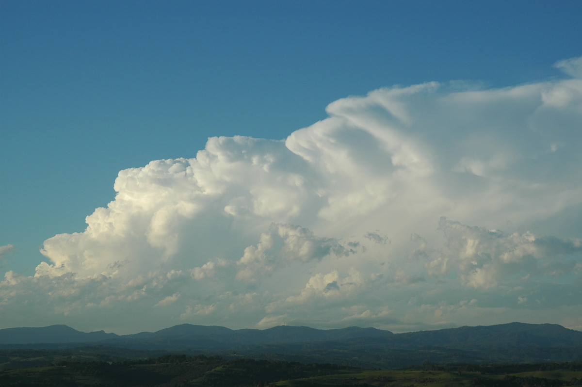 thunderstorm cumulonimbus_incus : McLeans Ridges, NSW   17 December 2005