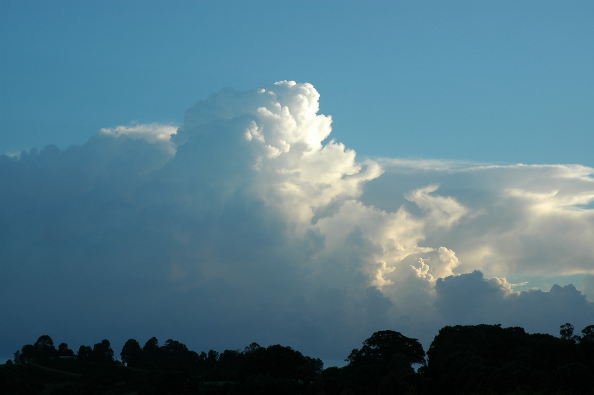 thunderstorm cumulonimbus_calvus : McLeans Ridges, NSW   27 February 2006