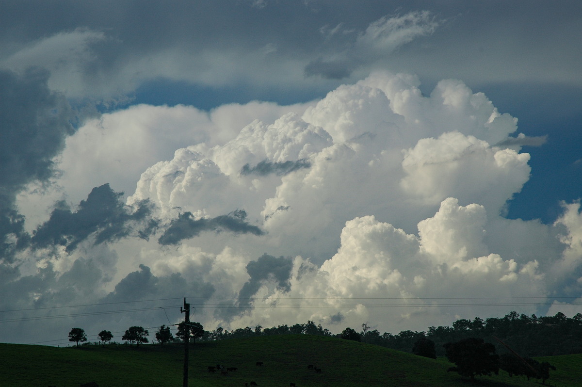 thunderstorm cumulonimbus_calvus : near Kyogle, NSW   21 April 2006
