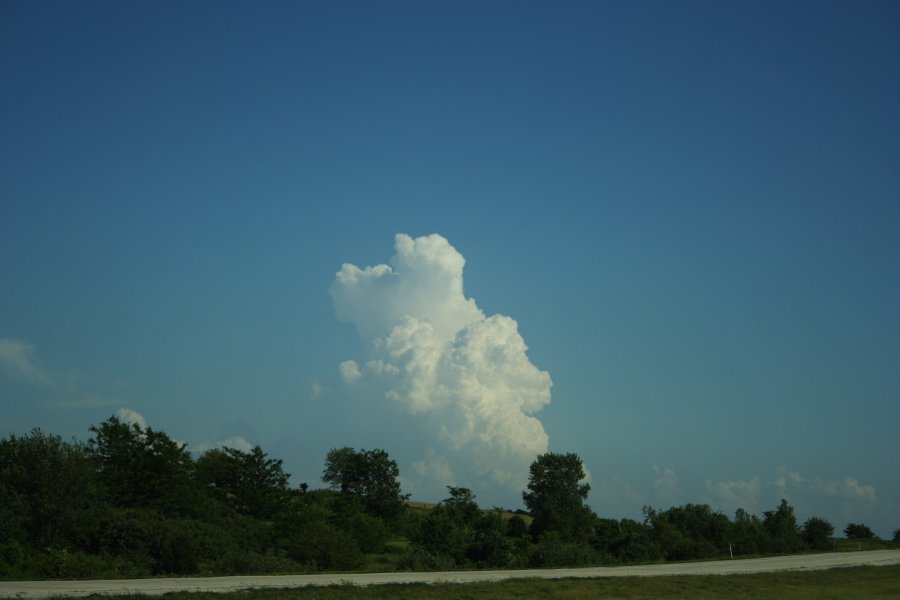 thunderstorm cumulonimbus_calvus : Kansas City, Kansas-Missouri border, USA   24 May 2006