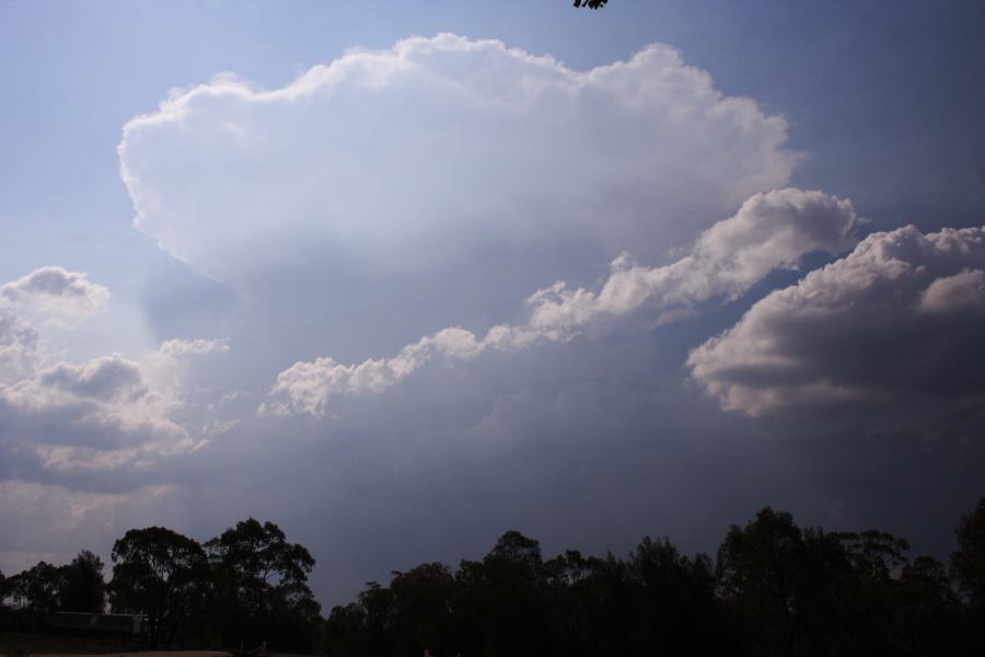 anvil thunderstorm_anvils : 40km W of Millmerran, NSW   14 January 2007