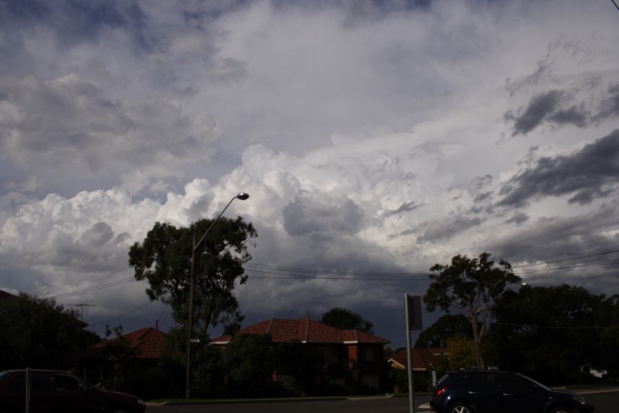 thunderstorm cumulonimbus_calvus : Miranda, NSW   8 March 2007