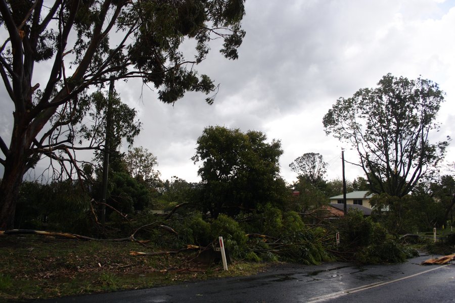 disasters storm_damage : Dunoon, NSW   26 October 2007