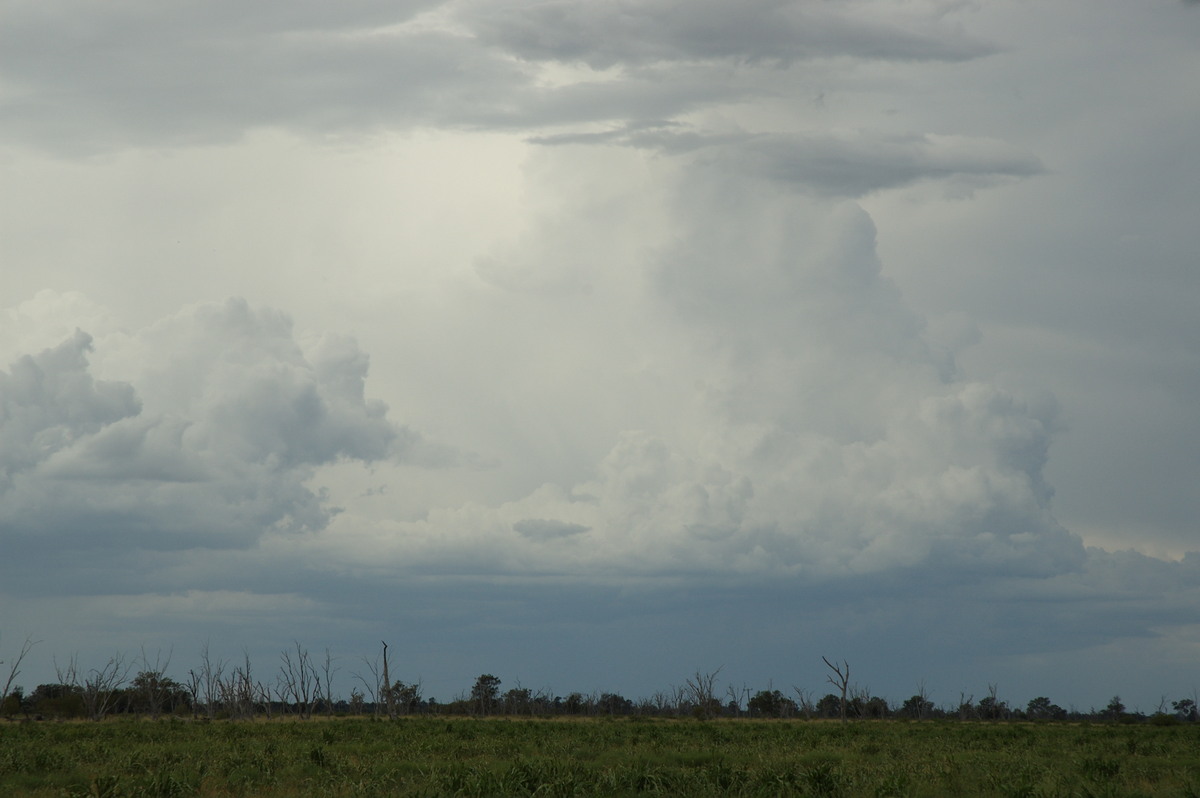 updraft thunderstorm_updrafts : near Boomi, NSW   9 December 2007