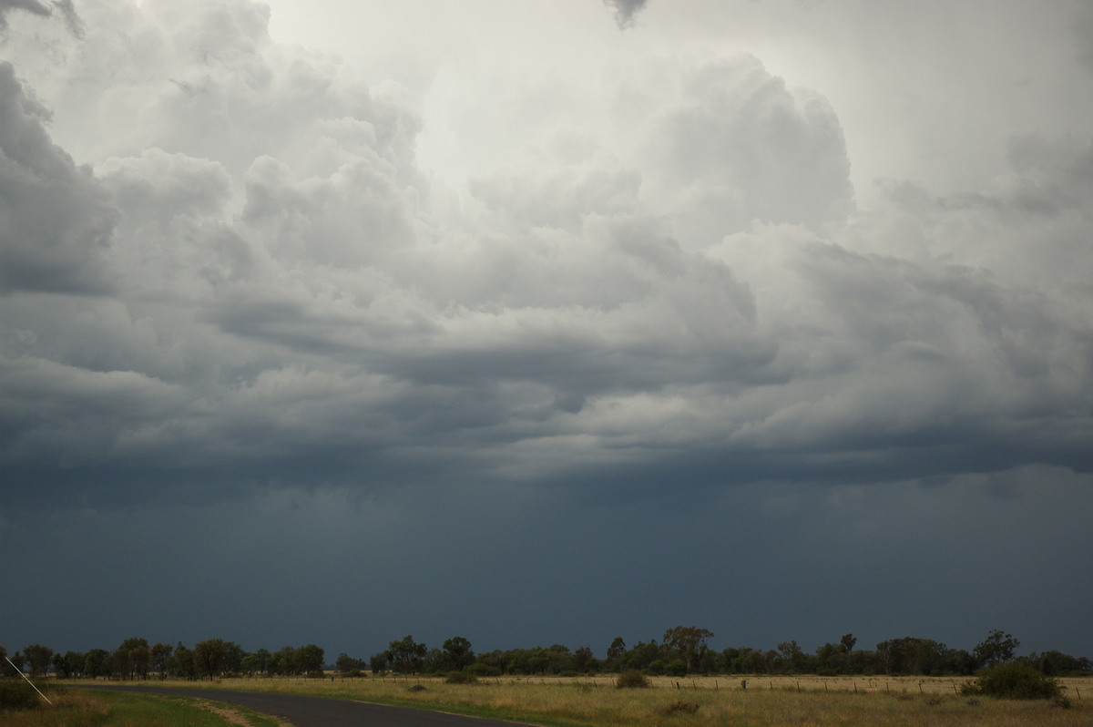 updraft thunderstorm_updrafts : near Goondiwindi, QLD   9 December 2007