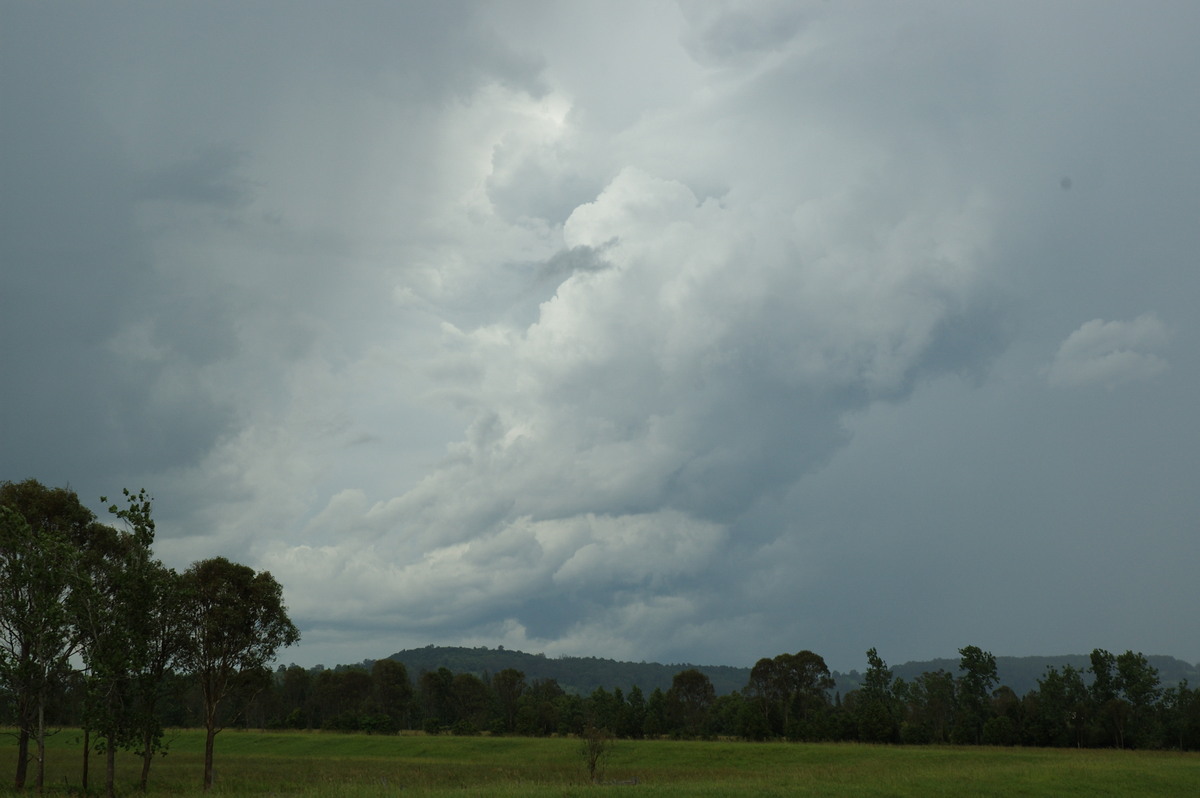 updraft thunderstorm_updrafts : South Lismore, NSW   6 January 2008