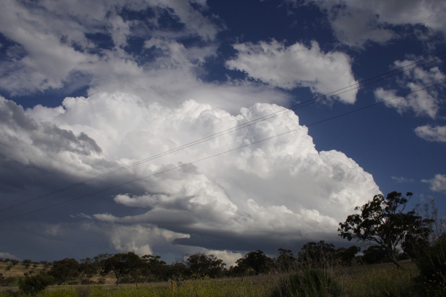 updraft thunderstorm_updrafts : E of Merriwa, NSW   5 October 2008