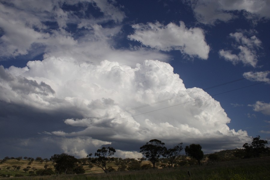 inflowband thunderstorm_inflow_band : E of Merriwa, NSW   5 October 2008