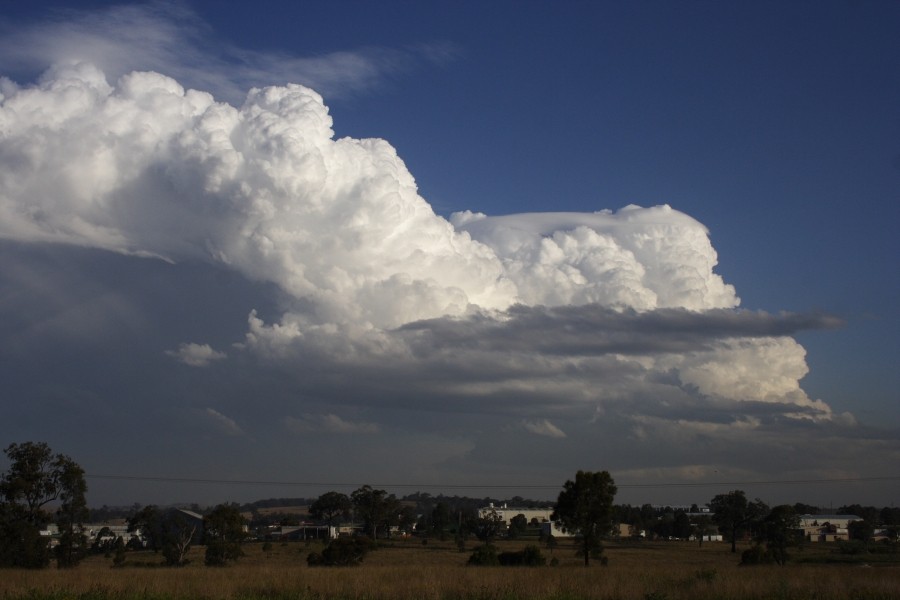 pileus pileus_cap_cloud : near Muswellbrook, NSW   5 October 2008