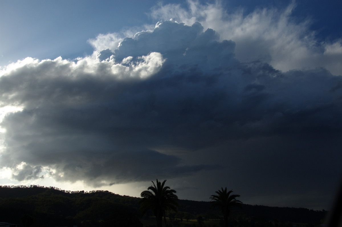 thunderstorm cumulonimbus_calvus : near Canungra, QLD   25 October 2008