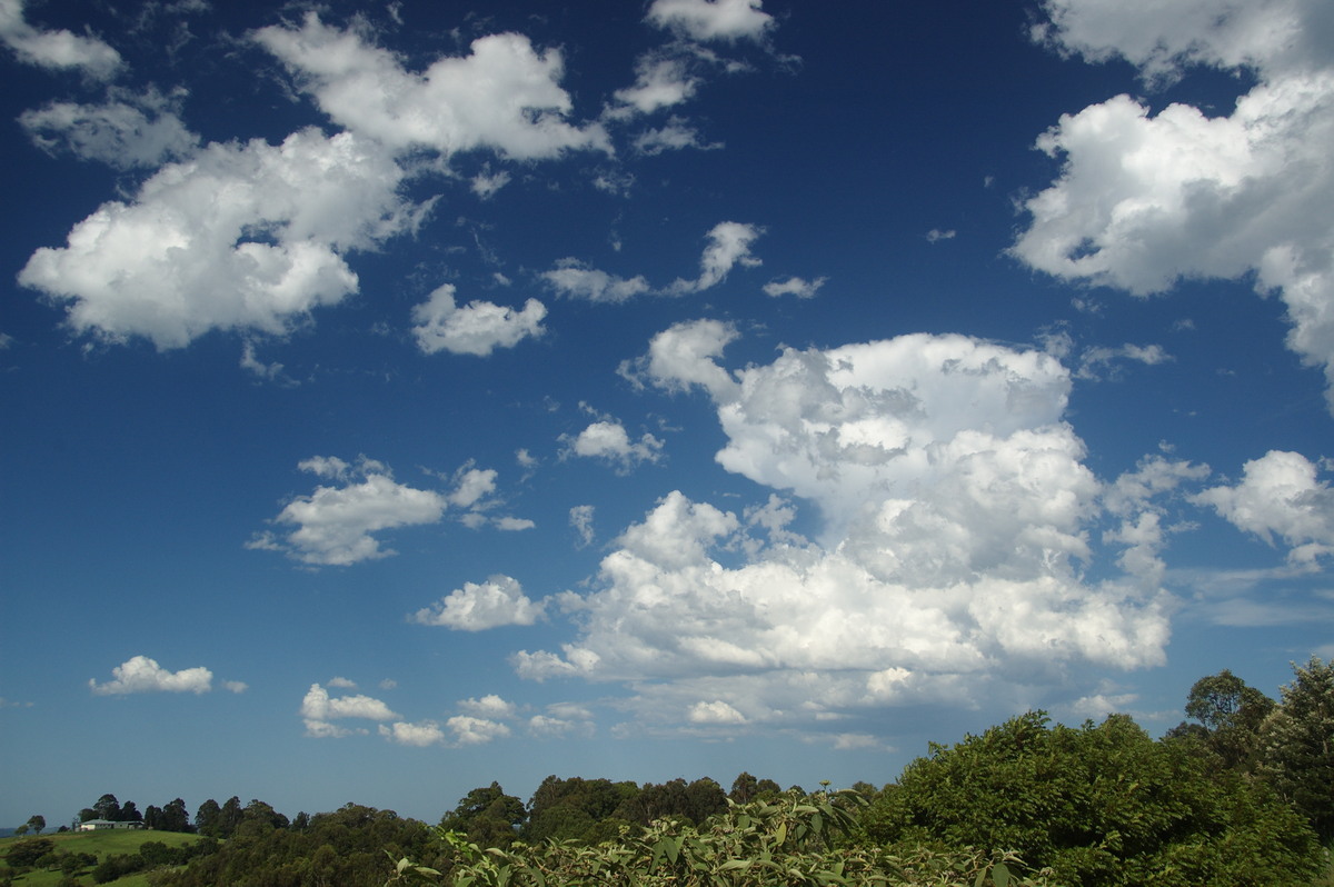 thunderstorm cumulonimbus_incus : McLeans Ridges, NSW   19 December 2008