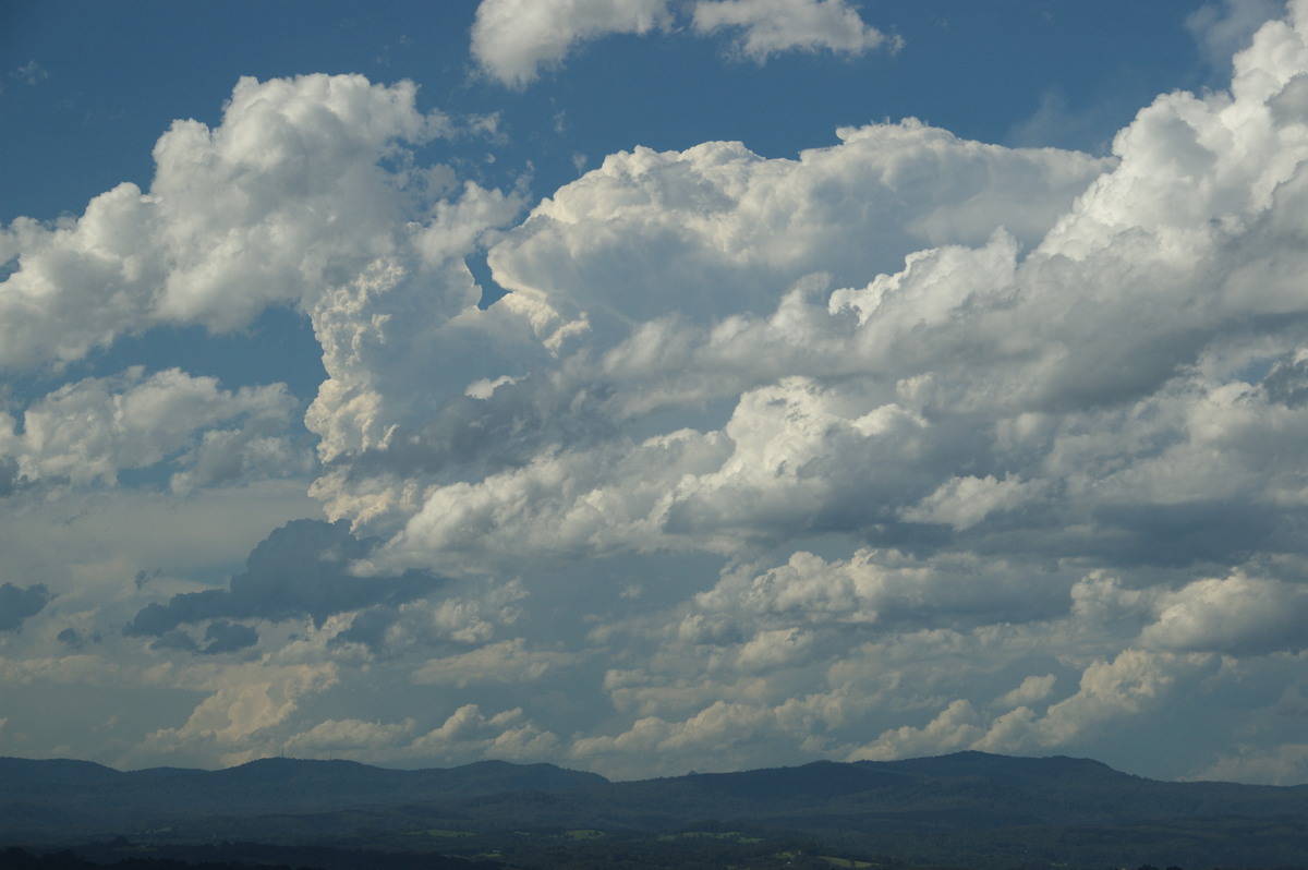thunderstorm cumulonimbus_calvus : McLeans Ridges, NSW   30 December 2008