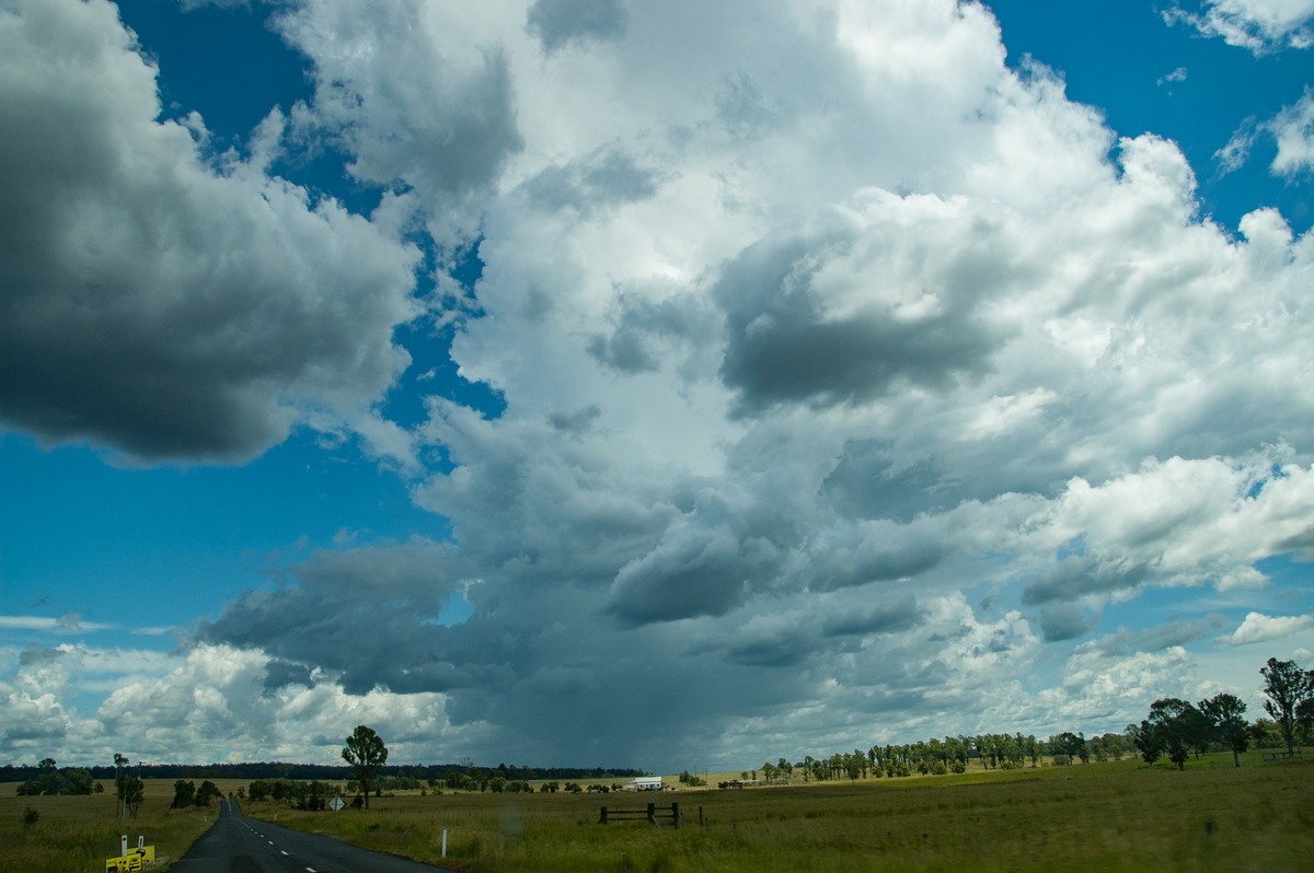 thunderstorm cumulonimbus_calvus : Tabulam, NSW   24 January 2009
