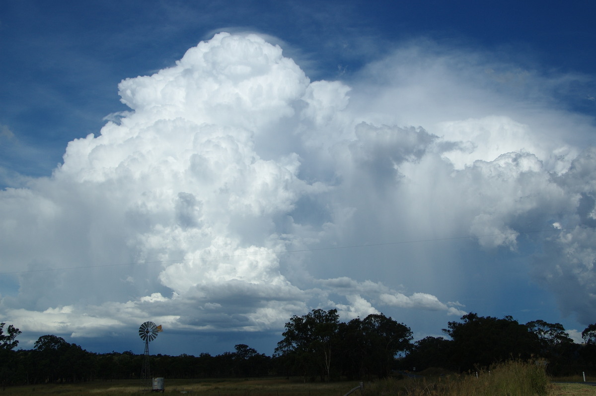 updraft thunderstorm_updrafts : near Warwick, QLD   24 January 2009
