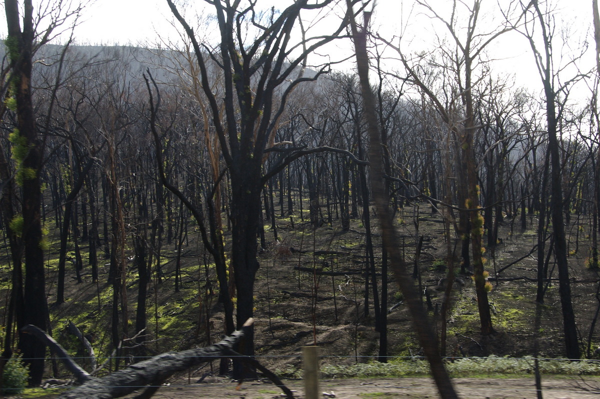 bushfire wild_fire : Strathewen, VIC   5 August 2009