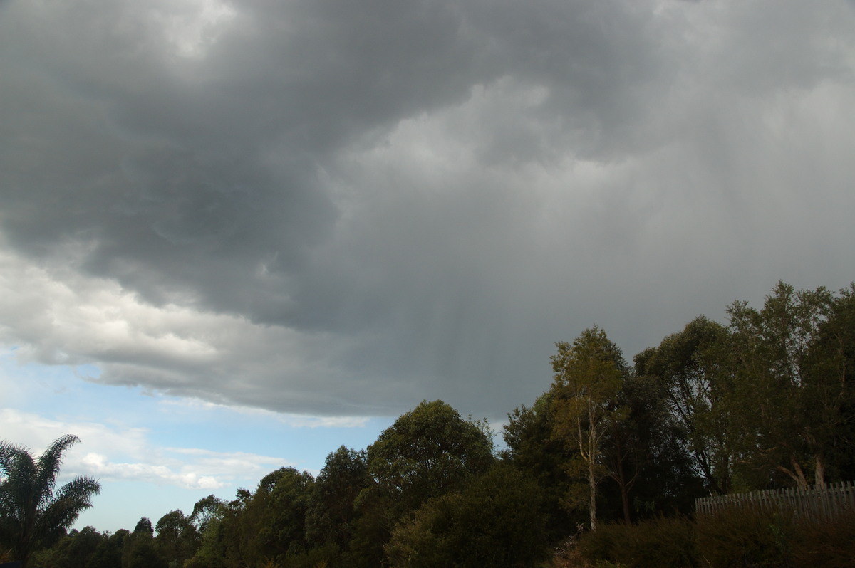 raincascade precipitation_cascade : McLeans Ridges, NSW   8 September 2009