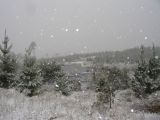 snow_pictures