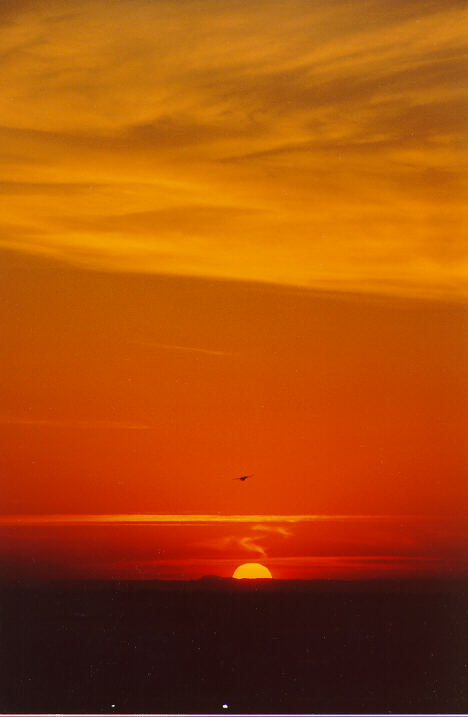 sunset sunset_pictures : Coogee, NSW   18 October 1990