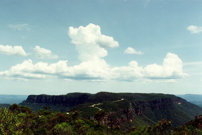 cumulus mediocris : Katoomba, NSW   23 January 1992