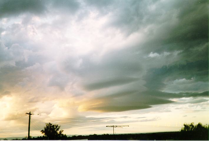 cumulus mediocris : Schofields, NSW   17 October 1993