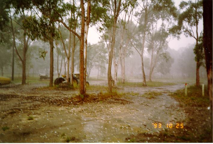hailstones hail_stones : Wyee, NSW   25 October 1993