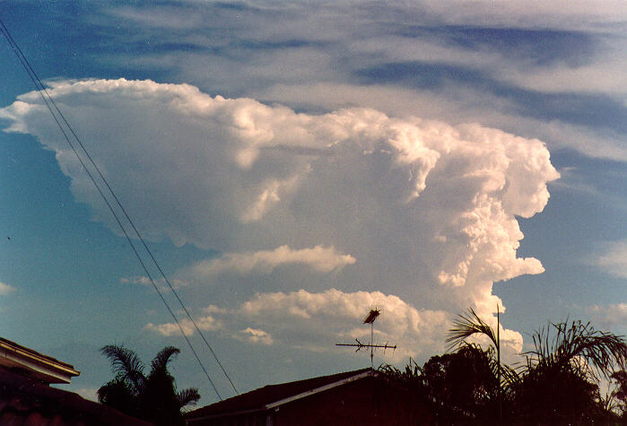 favourites michael_bath : Oakhurst, NSW   26 November 1994