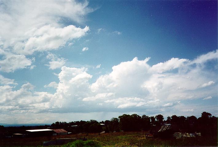 thunderstorm cumulonimbus_calvus : Rossmore, NSW   18 November 1995