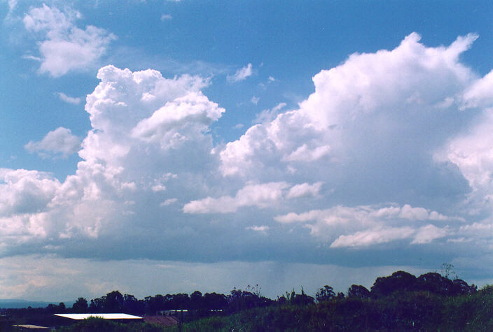 thunderstorm cumulonimbus_calvus : Bringelly, NSW   18 November 1995