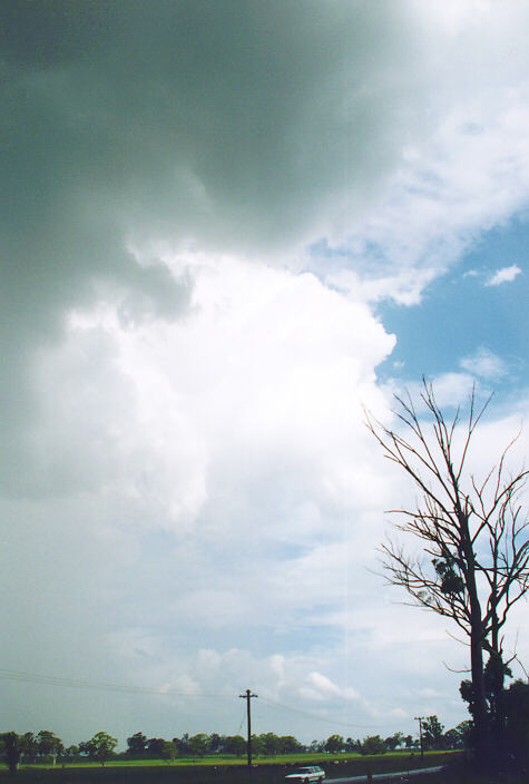 thunderstorm cumulonimbus_calvus : Cobbity, NSW   18 November 1995