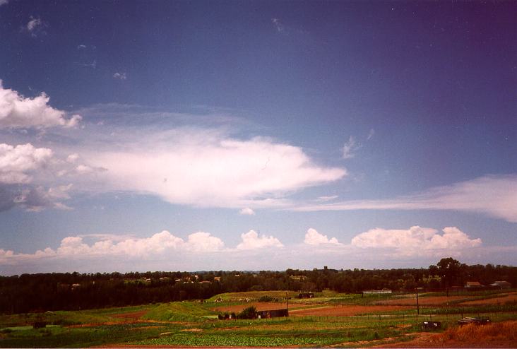 thunderstorm cumulonimbus_calvus : Schofields, NSW   18 December 1995