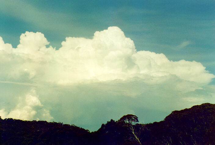 thunderstorm cumulonimbus_calvus : Mt Buffalo, VIC   15 January 1996