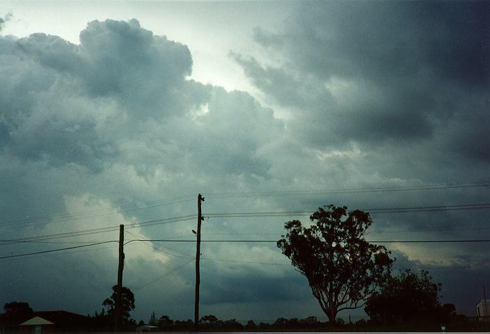 thunderstorm cumulonimbus_calvus : Schofields, NSW   19 January 1996