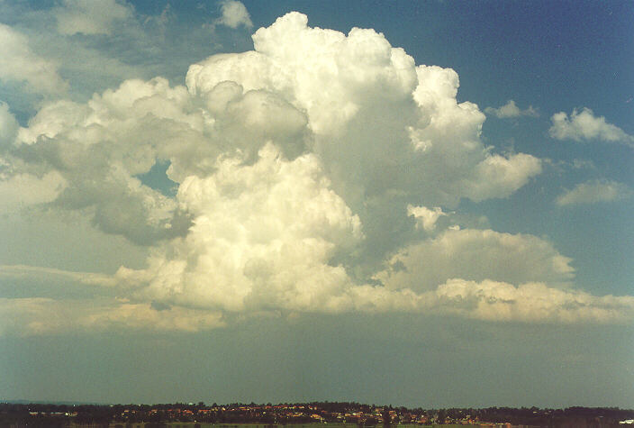 thunderstorm cumulonimbus_calvus : Rooty Hill, NSW   5 February 1996
