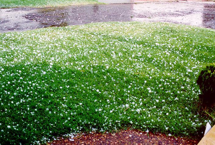 hailstones hail_stones : Horsley Park, NSW   5 February 1996