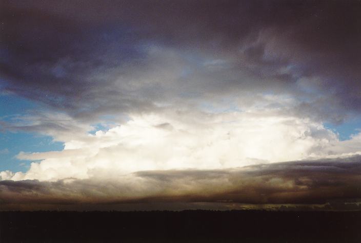 thunderstorm cumulonimbus_calvus : Schofields, NSW   18 May 1996