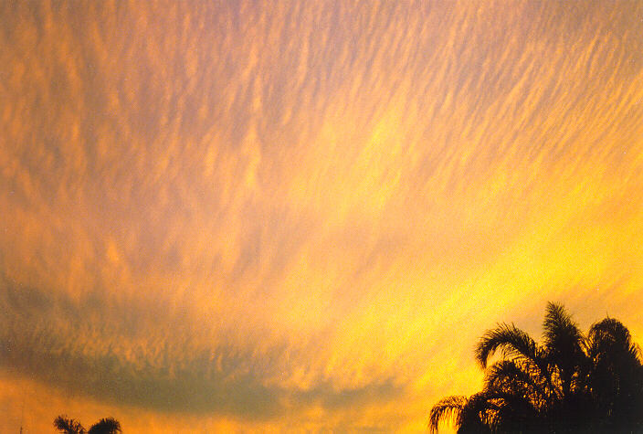altocumulus altocumulus_cloud : Oakhurst, NSW   10 October 1996