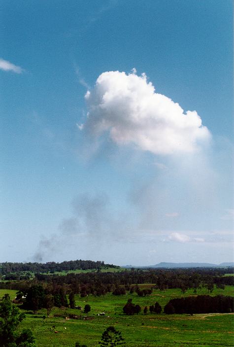 cumulus pyrocumulus : Parrots Nest, NSW   29 December 1996