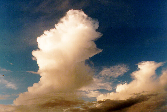 thunderstorm cumulonimbus_incus : Schofields, NSW   26 January 1997