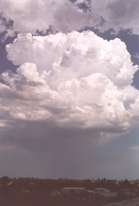 raincascade precipitation_cascade : Schofields, NSW   26 December 1997