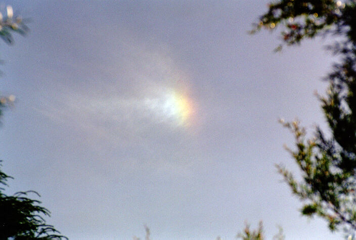 halosundog halo_sundog_crepuscular_rays : Oakhurst, NSW   26 February 1998
